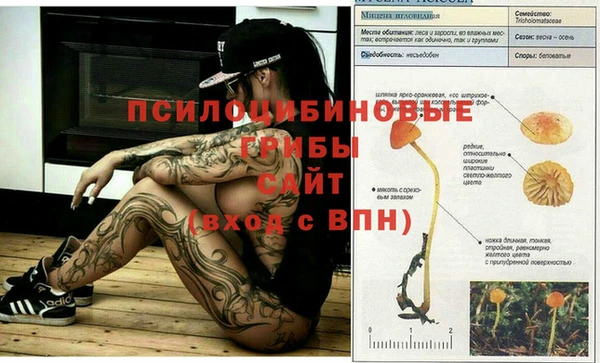 первитин Коряжма