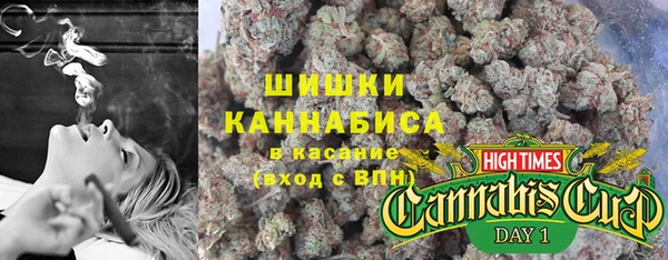 первитин Коряжма