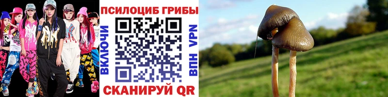 Купить где  Сальск  Псилоцибиновые грибы Psilocybine cubensis 